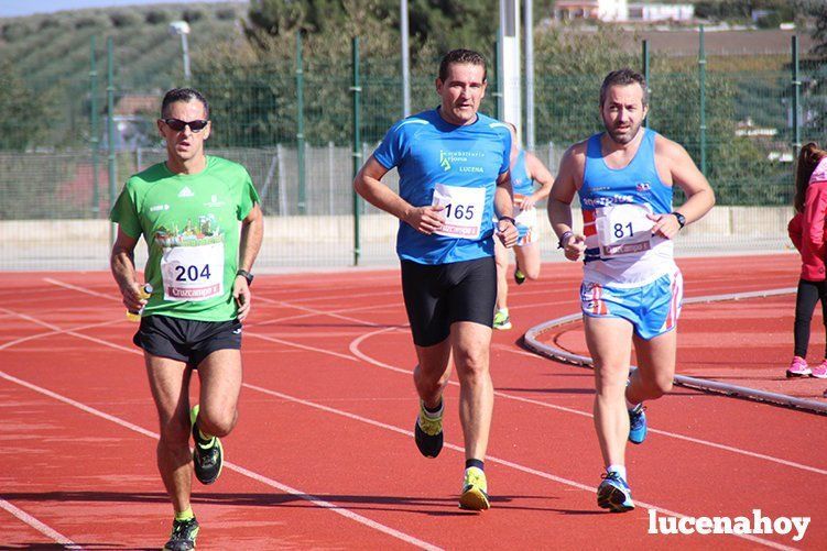 Galería: "Corre, corre, corre... Las fotos de la Carrera popular "Ciudad de Lucena" (I)