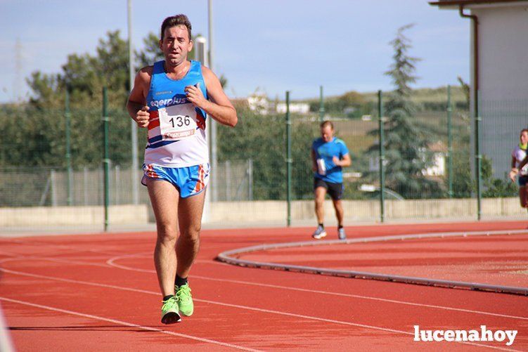 Galería: "Corre, corre, corre... Las fotos de la Carrera popular "Ciudad de Lucena" (I)