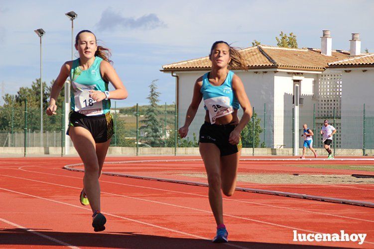 Galería: "Corre, corre, corre... Las fotos de la Carrera popular "Ciudad de Lucena" (I)