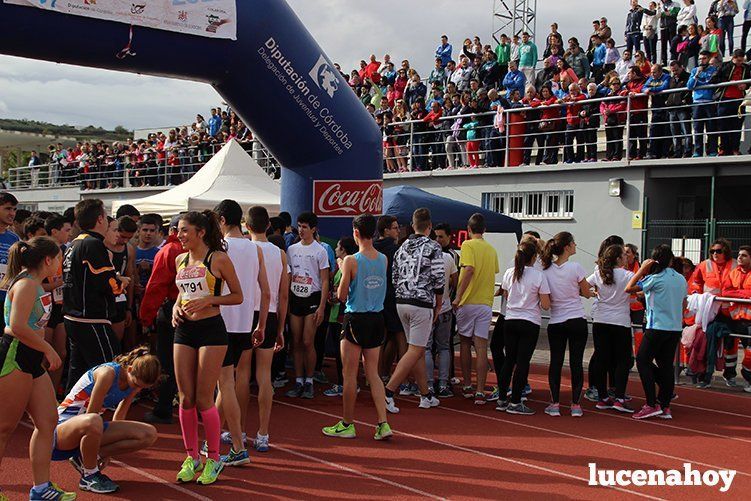 Galería: Los pequeños también corren. Segundo álbum de la Carrera Popular de Lucena, por Mimi Villa