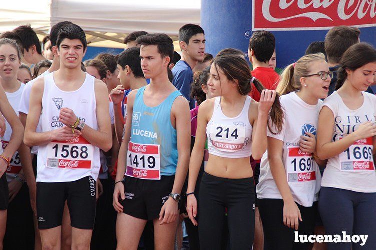 Galería: Los pequeños también corren. Segundo álbum de la Carrera Popular de Lucena, por Mimi Villa Galería: Los pequeños también corren. Segundo álbum de la Carrera Popular de Lucena, por Mimi Villa