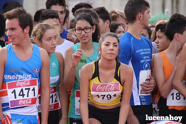 Galería: Los pequeños también corren. Segundo álbum de la Carrera Popular de Lucena, por Mimi Villa