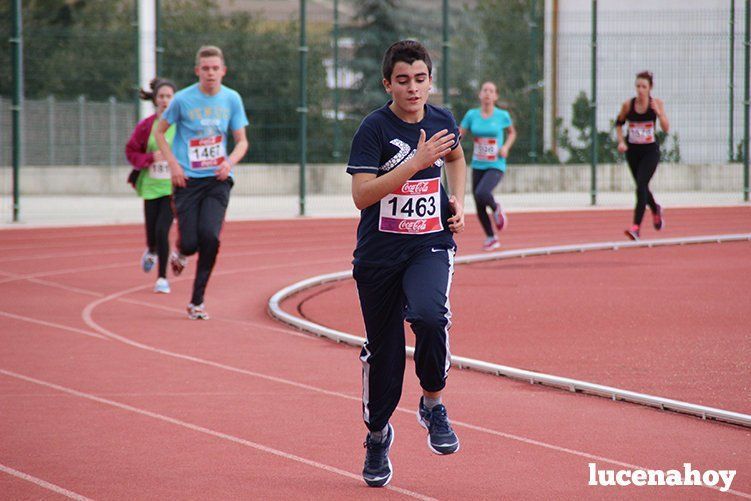 Galería: Los pequeños también corren. Segundo álbum de la Carrera Popular de Lucena, por Mimi Villa