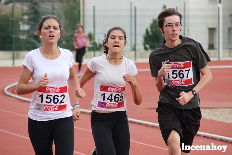 Galería: Los pequeños también corren. Segundo álbum de la Carrera Popular de Lucena, por Mimi Villa