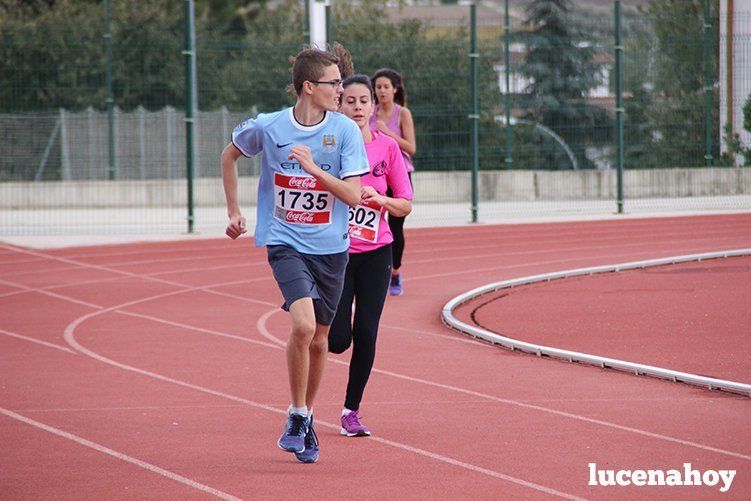 Galería: Los pequeños también corren. Segundo álbum de la Carrera Popular de Lucena, por Mimi Villa