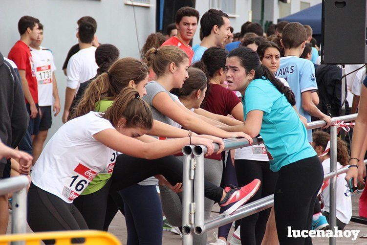 Galería: Los pequeños también corren. Segundo álbum de la Carrera Popular de Lucena, por Mimi Villa