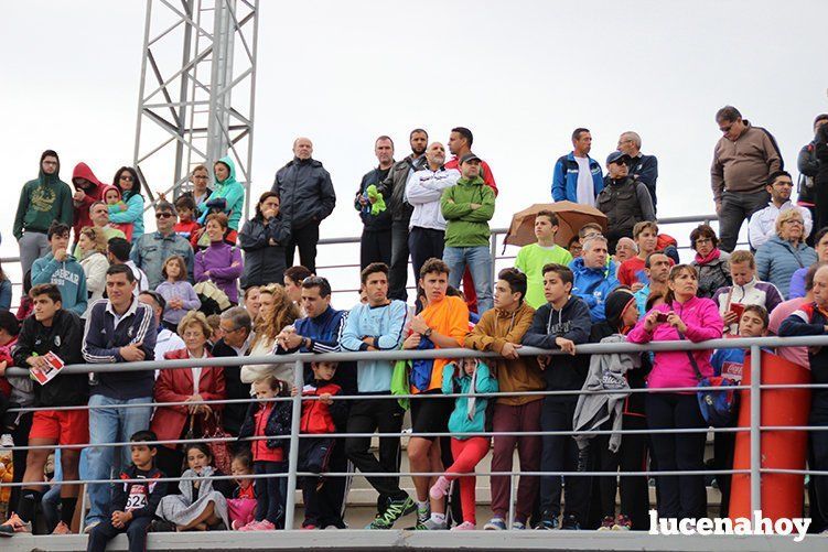 Galería: Los pequeños también corren. Segundo álbum de la Carrera Popular de Lucena, por Mimi Villa