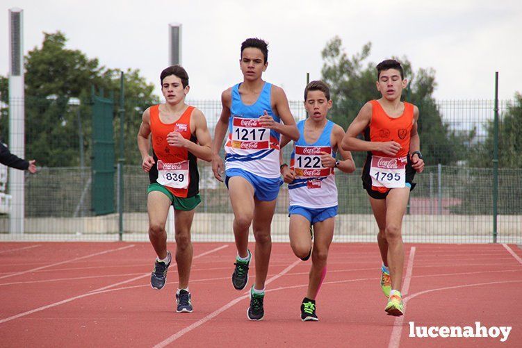 Galería: Los pequeños también corren. Segundo álbum de la Carrera Popular de Lucena, por Mimi Villa