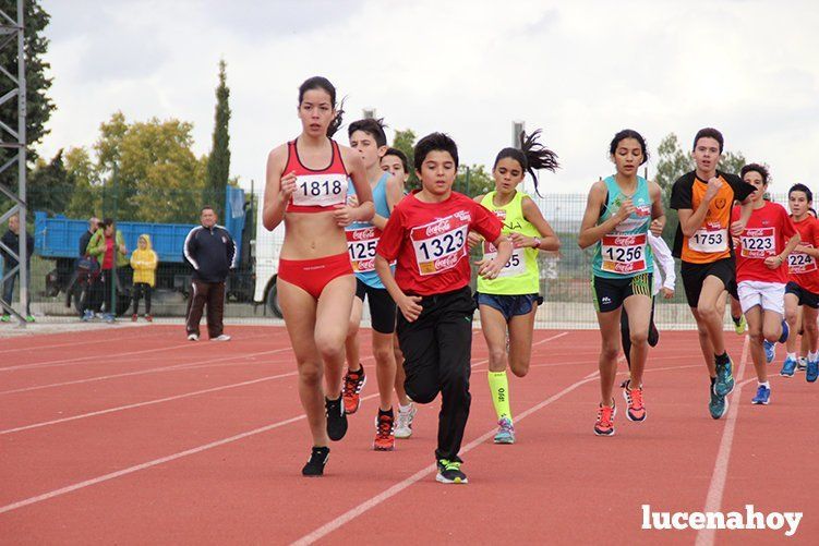 Galería: Los pequeños también corren. Segundo álbum de la Carrera Popular de Lucena, por Mimi Villa