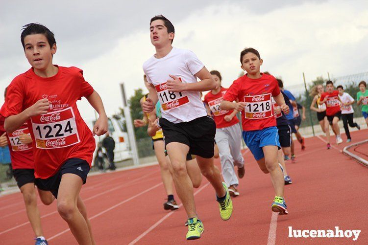 Galería: Los pequeños también corren. Segundo álbum de la Carrera Popular de Lucena, por Mimi Villa Galería: Los pequeños también corren. Segundo álbum de la Carrera Popular de Lucena, por Mimi Villa