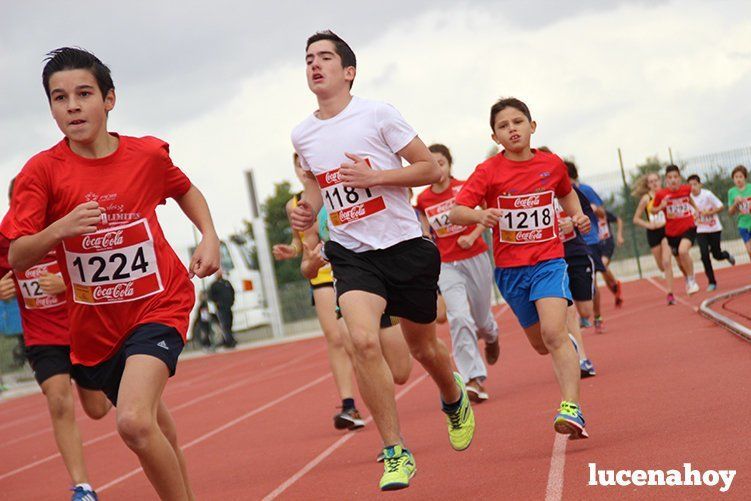 Galería: Los pequeños también corren. Segundo álbum de la Carrera Popular de Lucena, por Mimi Villa