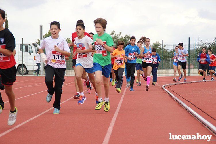 Galería: Los pequeños también corren. Segundo álbum de la Carrera Popular de Lucena, por Mimi Villa Galería: Los pequeños también corren. Segundo álbum de la Carrera Popular de Lucena, por Mimi Villa
