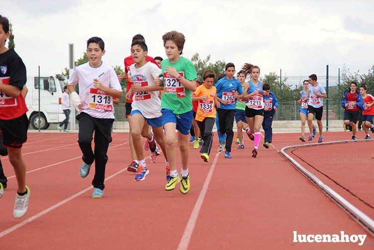 Galería: Los pequeños también corren. Segundo álbum de la Carrera Popular de Lucena, por Mimi Villa