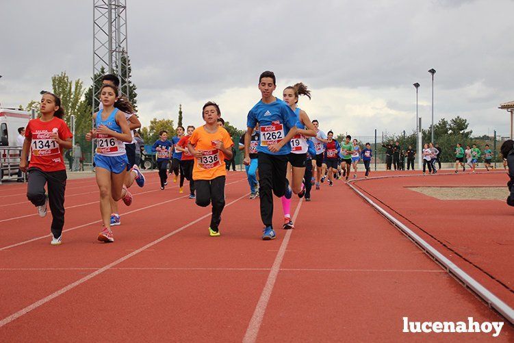 Galería: Los pequeños también corren. Segundo álbum de la Carrera Popular de Lucena, por Mimi Villa