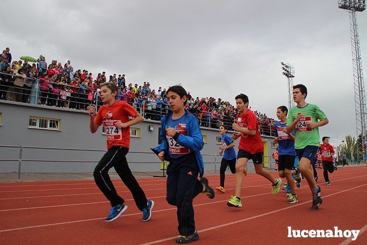 Galería: Los pequeños también corren. Segundo álbum de la Carrera Popular de Lucena, por Mimi Villa