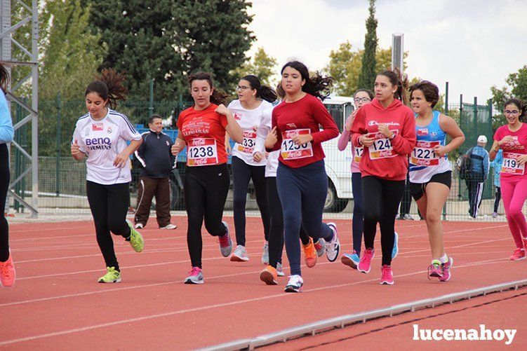 Galería: Los pequeños también corren. Segundo álbum de la Carrera Popular de Lucena, por Mimi Villa