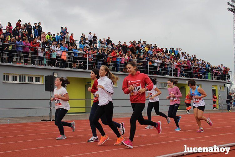 Galería: Los pequeños también corren. Segundo álbum de la Carrera Popular de Lucena, por Mimi Villa