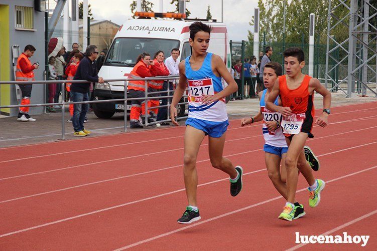 Galería: Los pequeños también corren. Segundo álbum de la Carrera Popular de Lucena, por Mimi Villa