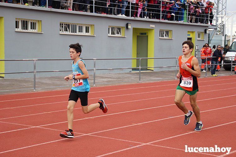 Galería: Los pequeños también corren. Segundo álbum de la Carrera Popular de Lucena, por Mimi Villa