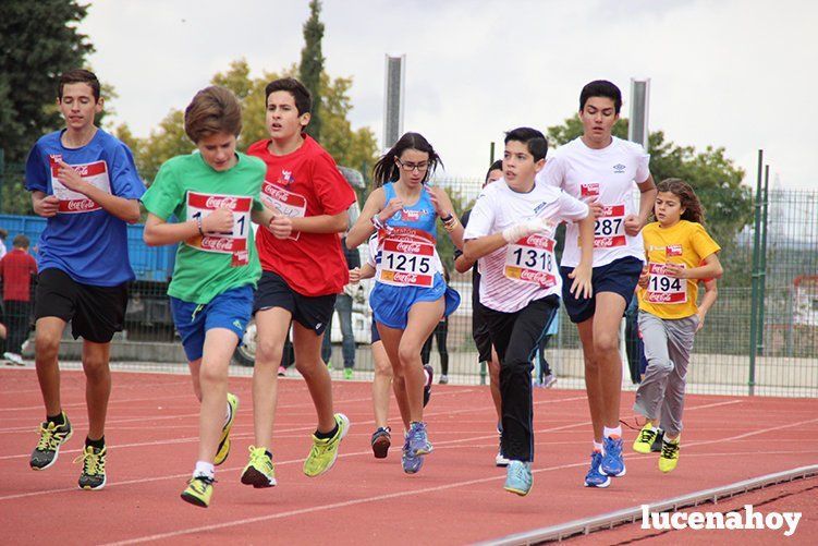 Galería: Los pequeños también corren. Segundo álbum de la Carrera Popular de Lucena, por Mimi Villa