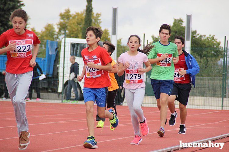 Galería: Los pequeños también corren. Segundo álbum de la Carrera Popular de Lucena, por Mimi Villa