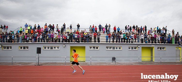 Galería: Los pequeños también corren. Segundo álbum de la Carrera Popular de Lucena, por Mimi Villa