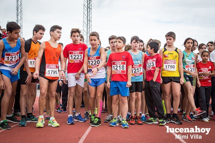 Galería: Los pequeños también corren. Segundo álbum de la Carrera Popular de Lucena, por Mimi Villa Galería: Los pequeños también corren. Segundo álbum de la Carrera Popular de Lucena, por Mimi Villa