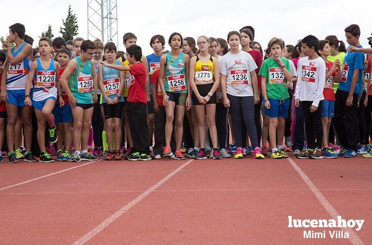 Galería: Los pequeños también corren. Segundo álbum de la Carrera Popular de Lucena, por Mimi Villa