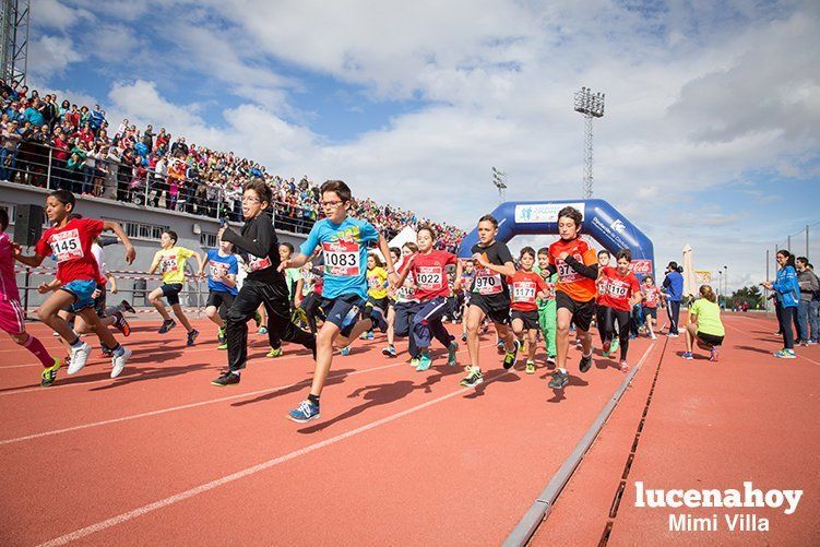 Galería: Los pequeños también corren. Segundo álbum de la Carrera Popular de Lucena, por Mimi Villa