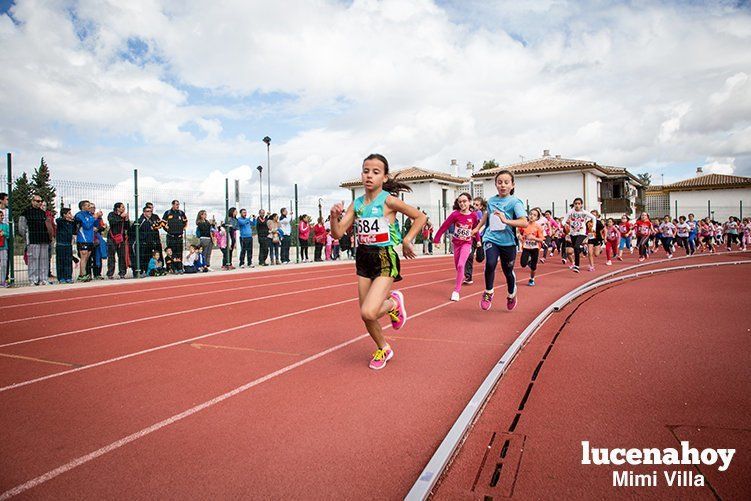 Galería: Los pequeños también corren. Segundo álbum de la Carrera Popular de Lucena, por Mimi Villa