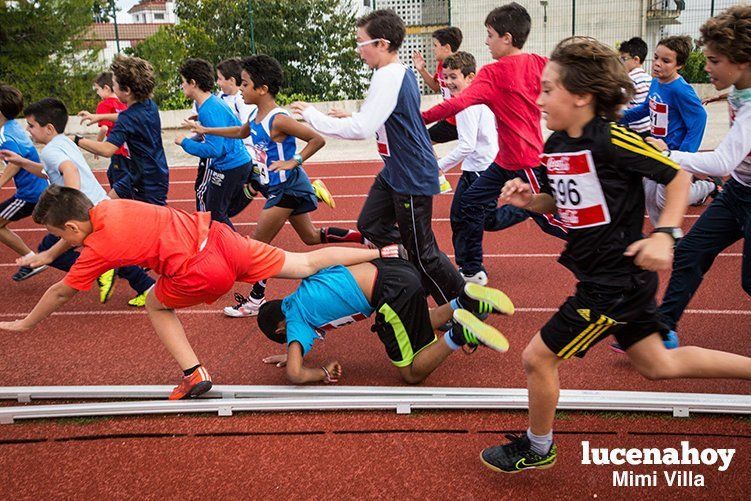 Galería: Los pequeños también corren. Segundo álbum de la Carrera Popular de Lucena, por Mimi Villa