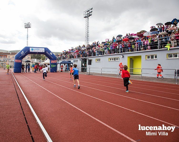 Galería: Los pequeños también corren. Segundo álbum de la Carrera Popular de Lucena, por Mimi Villa