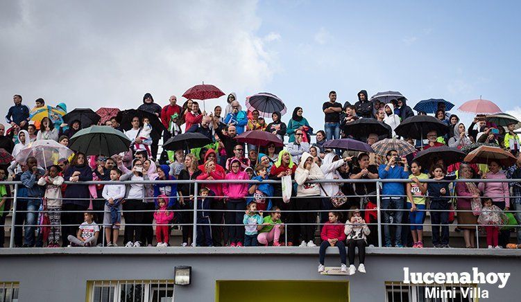 Galería: Los pequeños también corren. Segundo álbum de la Carrera Popular de Lucena, por Mimi Villa Galería: Los pequeños también corren. Segundo álbum de la Carrera Popular de Lucena, por Mimi Villa