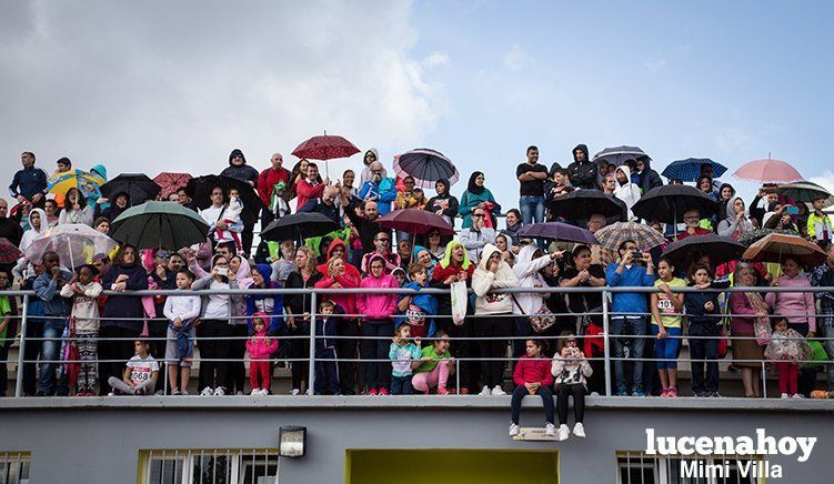 Galería: Los pequeños también corren. Segundo álbum de la Carrera Popular de Lucena, por Mimi Villa