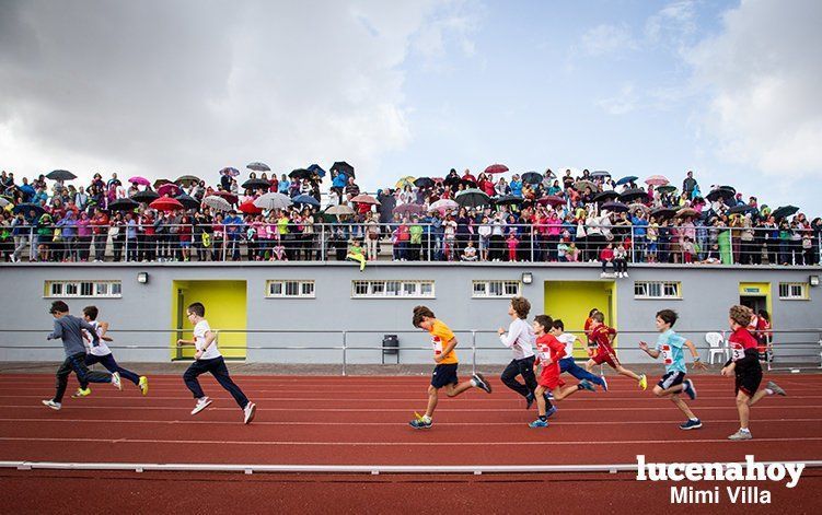 Galería: Los pequeños también corren. Segundo álbum de la Carrera Popular de Lucena, por Mimi Villa Galería: Los pequeños también corren. Segundo álbum de la Carrera Popular de Lucena, por Mimi Villa