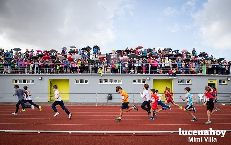 Galería: Los pequeños también corren. Segundo álbum de la Carrera Popular de Lucena, por Mimi Villa