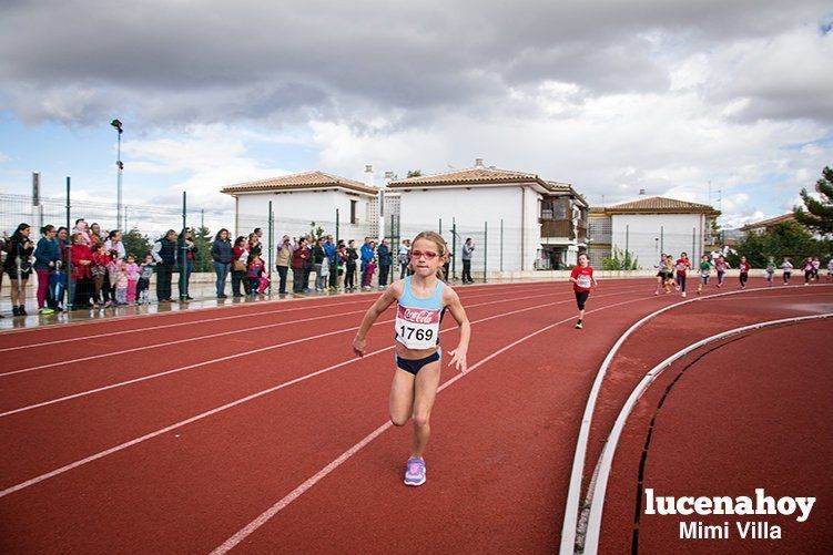 Galería: Los pequeños también corren. Segundo álbum de la Carrera Popular de Lucena, por Mimi Villa