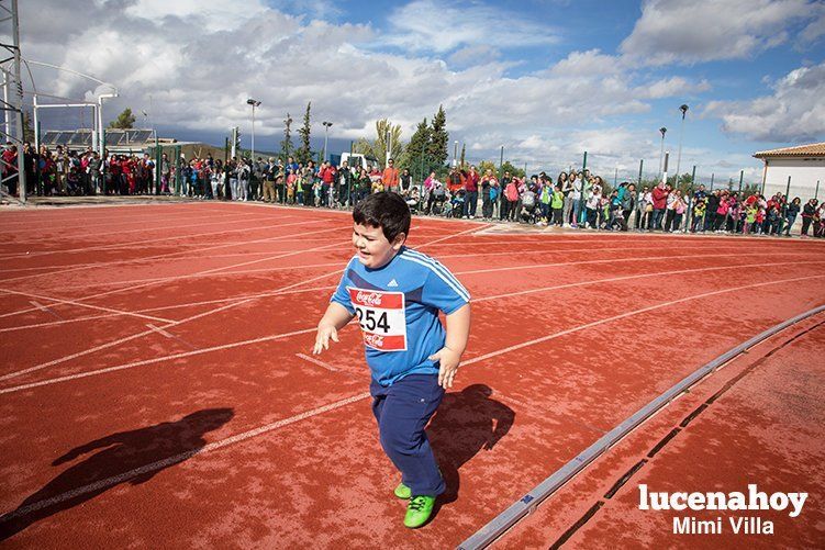 Galería: Los pequeños también corren. Segundo álbum de la Carrera Popular de Lucena, por Mimi Villa