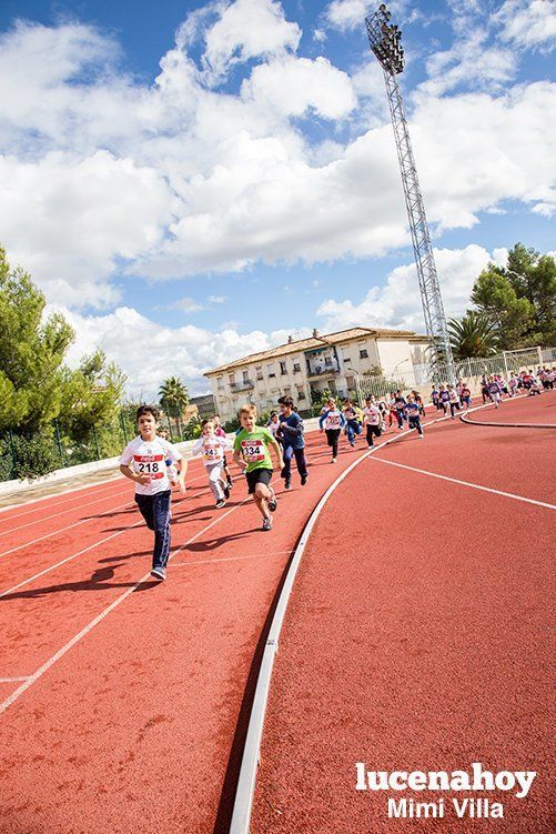 Galería: Los pequeños también corren. Segundo álbum de la Carrera Popular de Lucena, por Mimi Villa