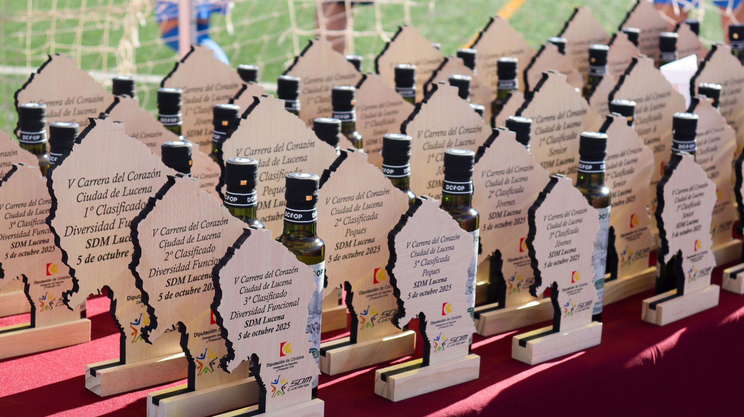 V Carrera del Corazón 15
