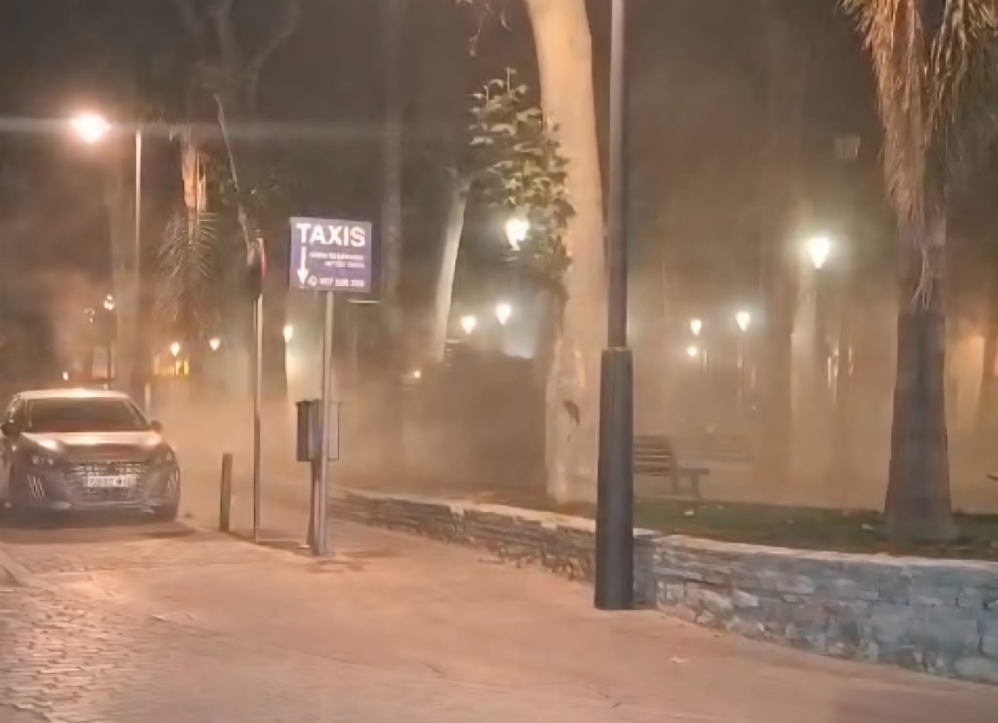 El paseo del coso tras el uso de sopladoras. Foto: Ciudadanos El paseo del coso tras el uso de sopladoras. Foto: Ciudadanos