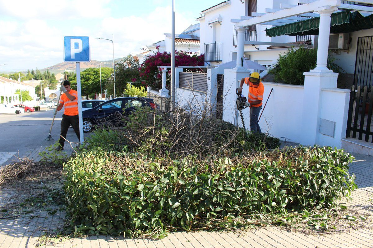 Trabajo de operarios del servicio municipal de jardinería Trabajo de operarios del servicio municipal de jardinería