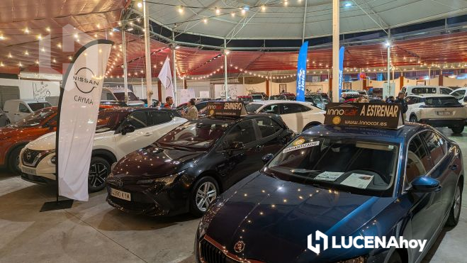 Una vista de algunos de los vehículos expuestos Una vista de algunos de los vehículos expuestos