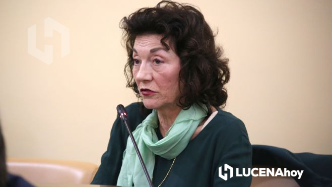 Pleno municipal Pleno municipal