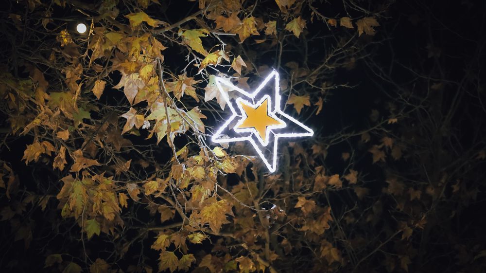 Mercado de Navidad 12