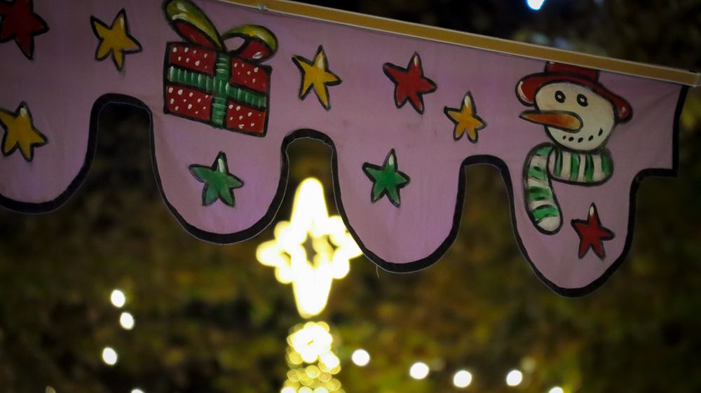 Mercado de Navidad 18