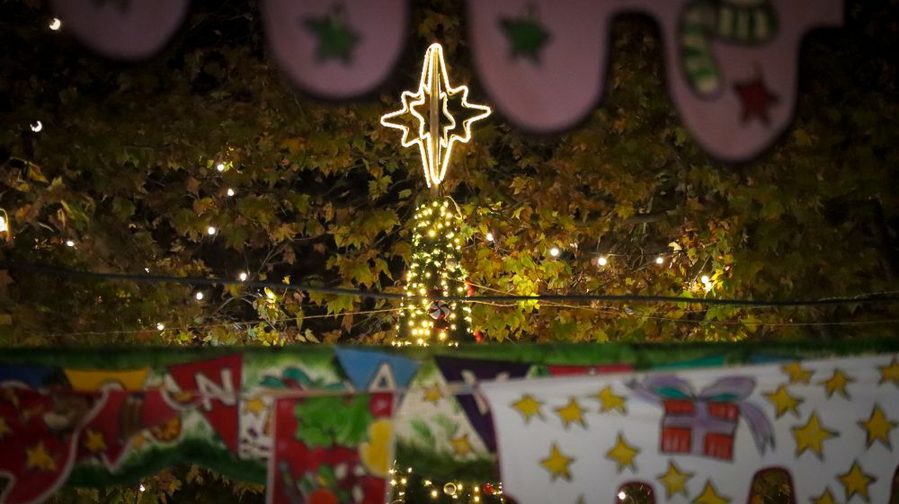 Mercado de Navidad 19