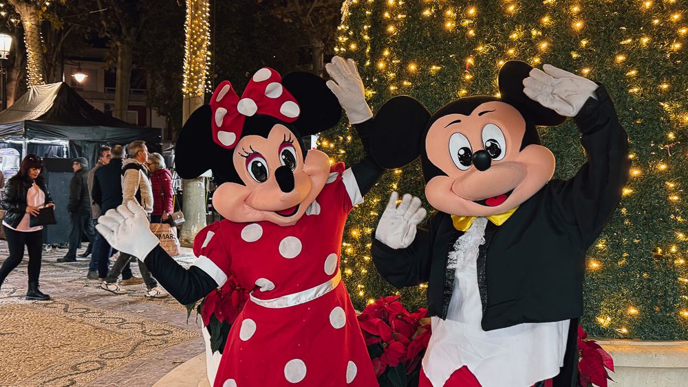 Mercado de Navidad 33