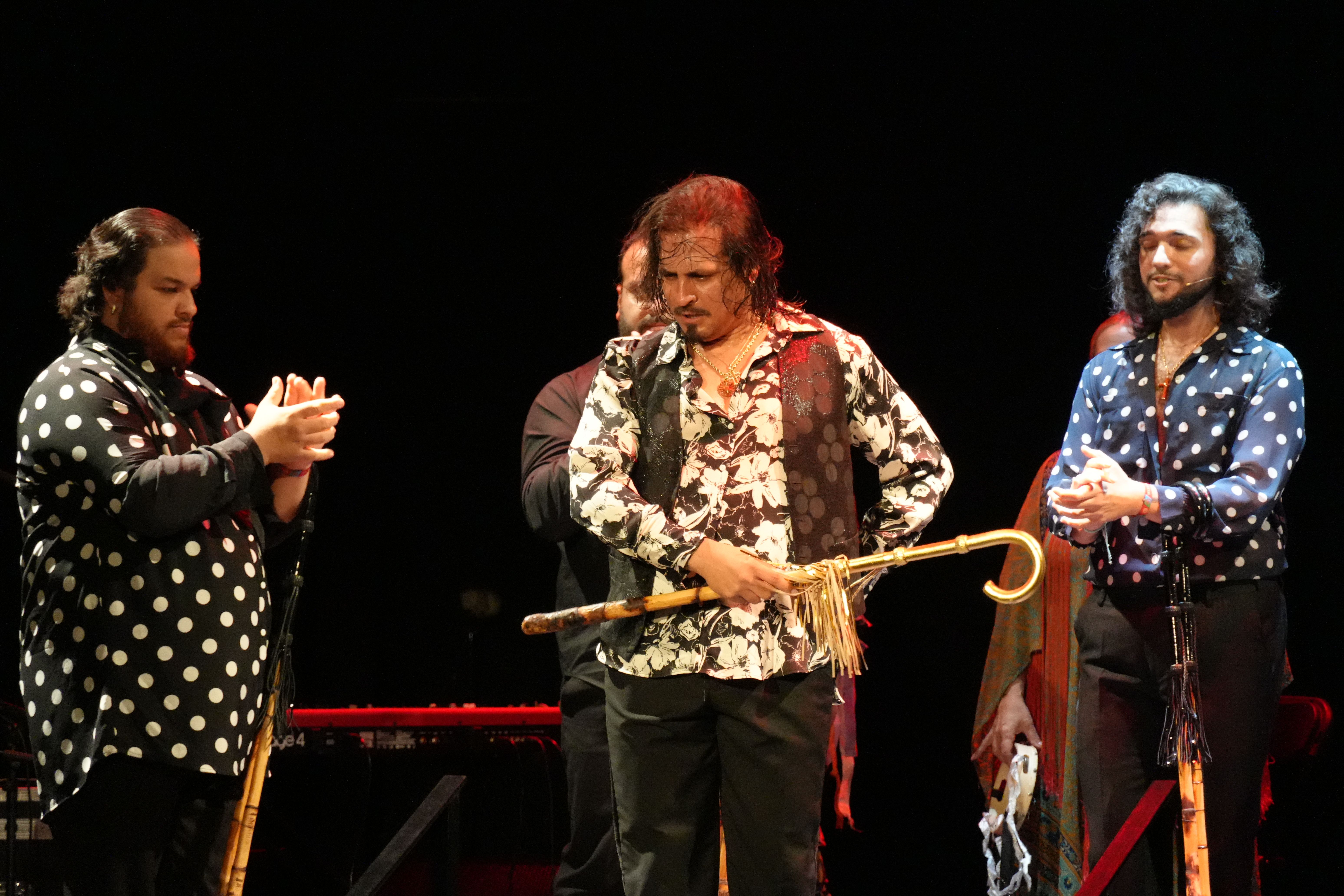 Farrucos y Fernández en el Palacio Erisana