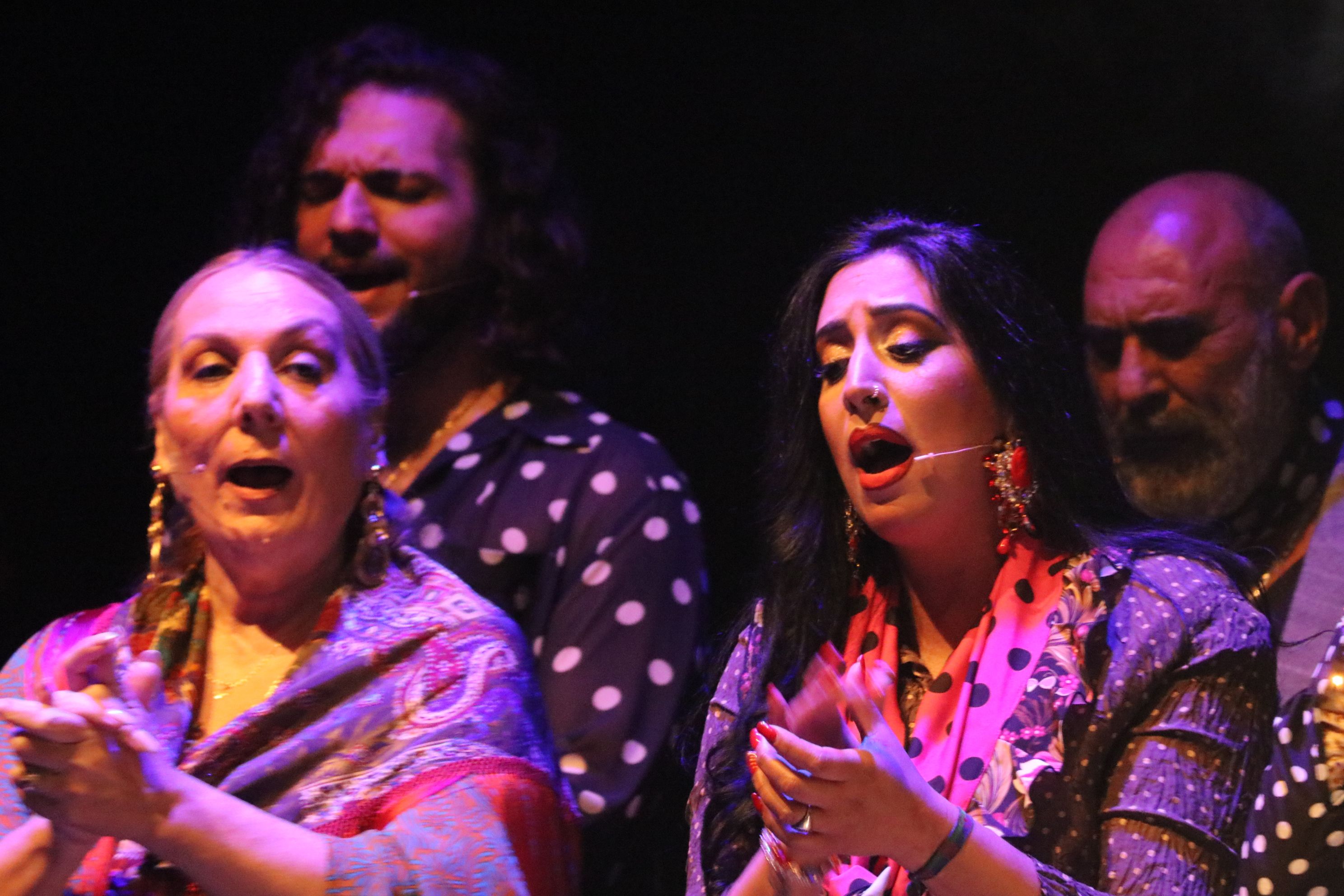 Farrucos y Fernández en el Palacio Erisana